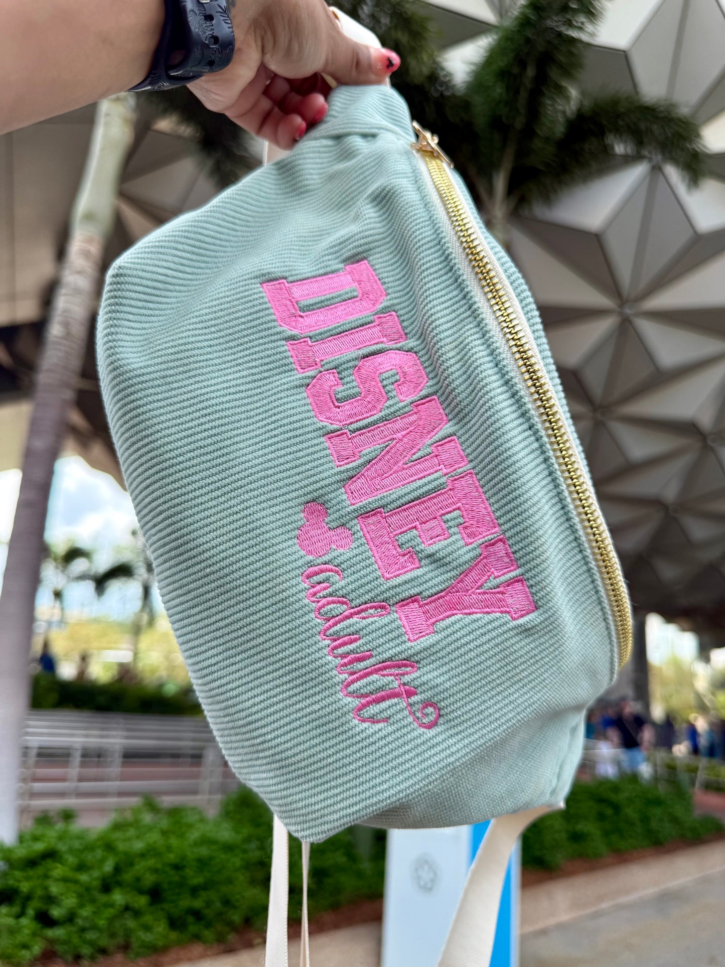 Disney Adult Fanny