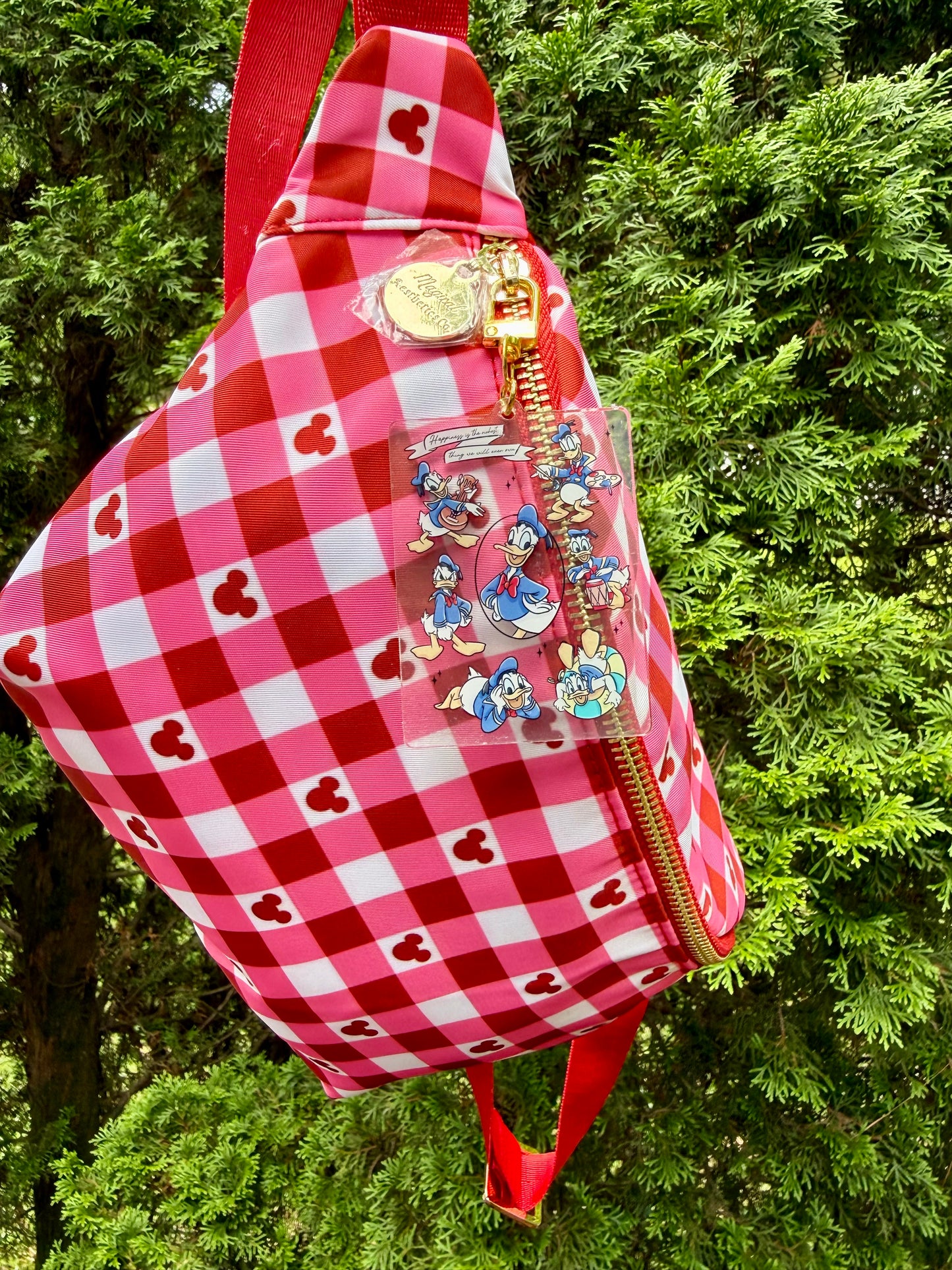 All About Donald Bag Charm