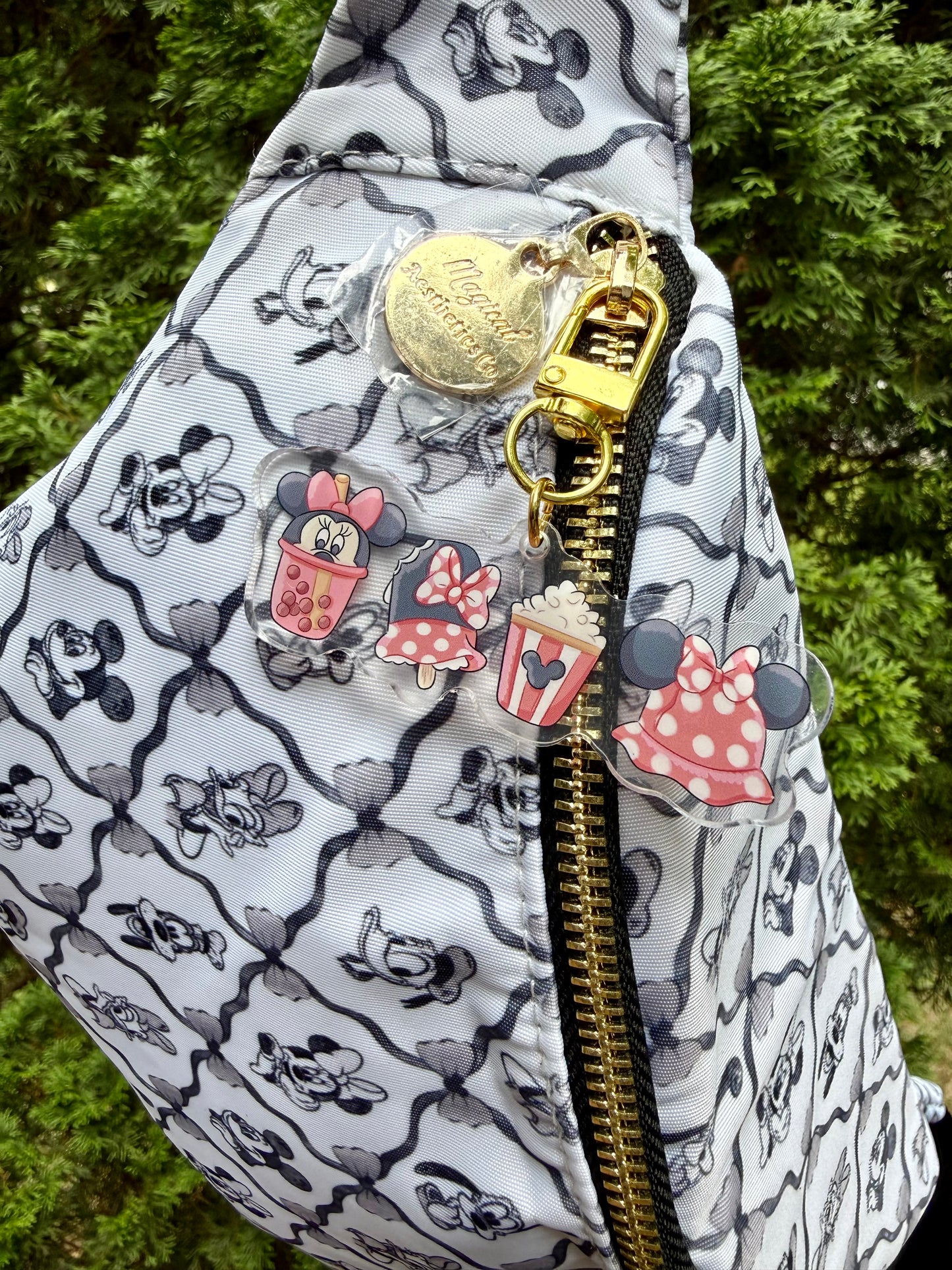 Character Snack Bag Charm