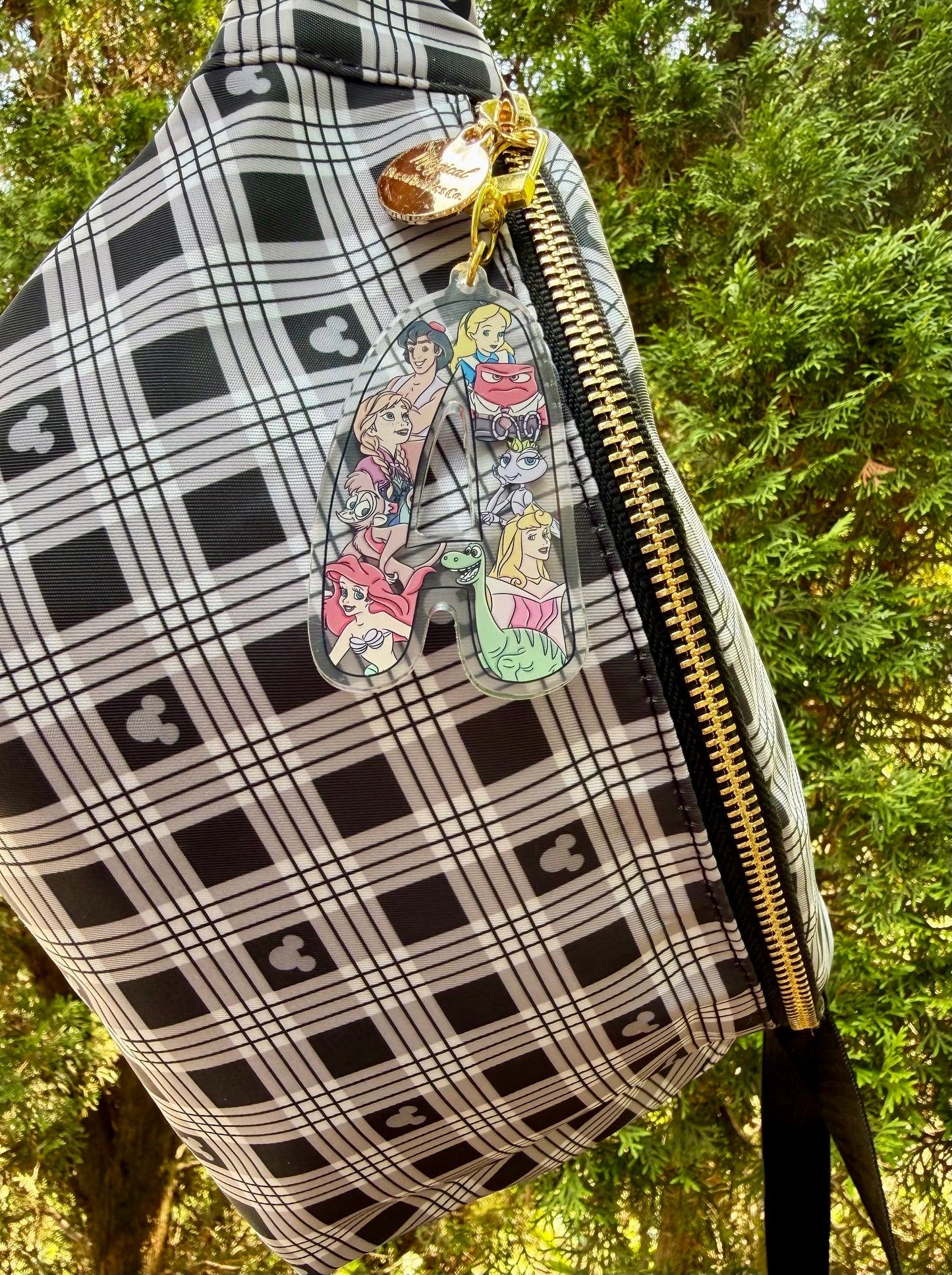Initial Bag Charm