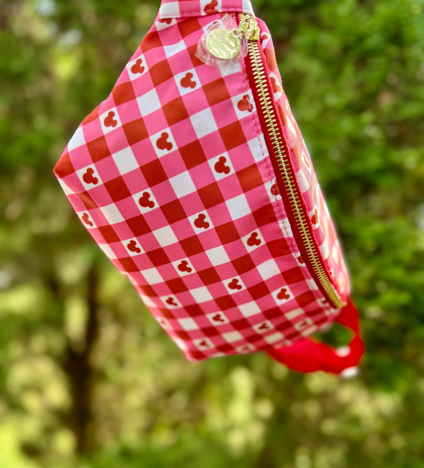 Sweetheart Gingham Fanny