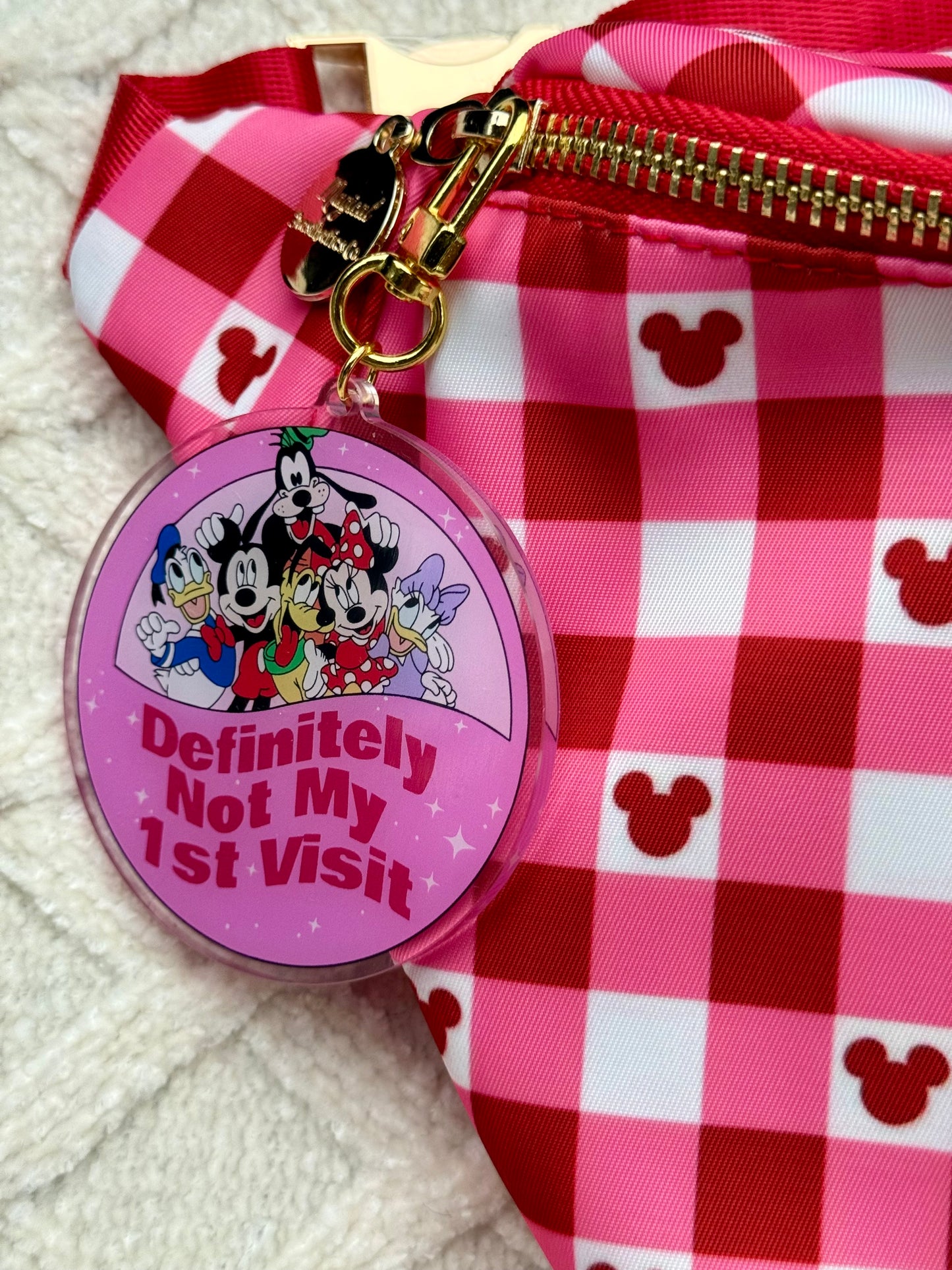 Not My First Visit Bag Charm