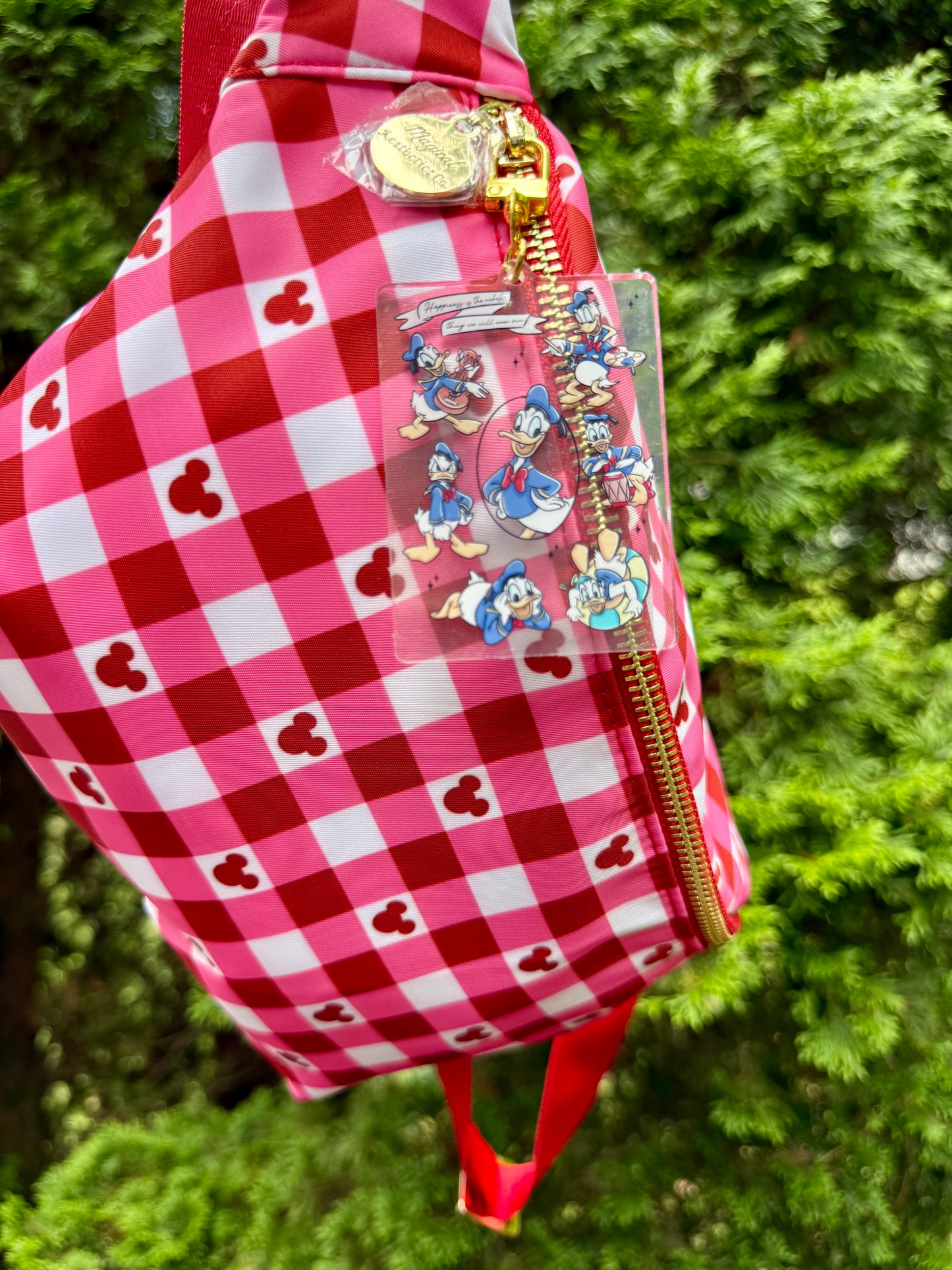 All About Donald Bag Charm