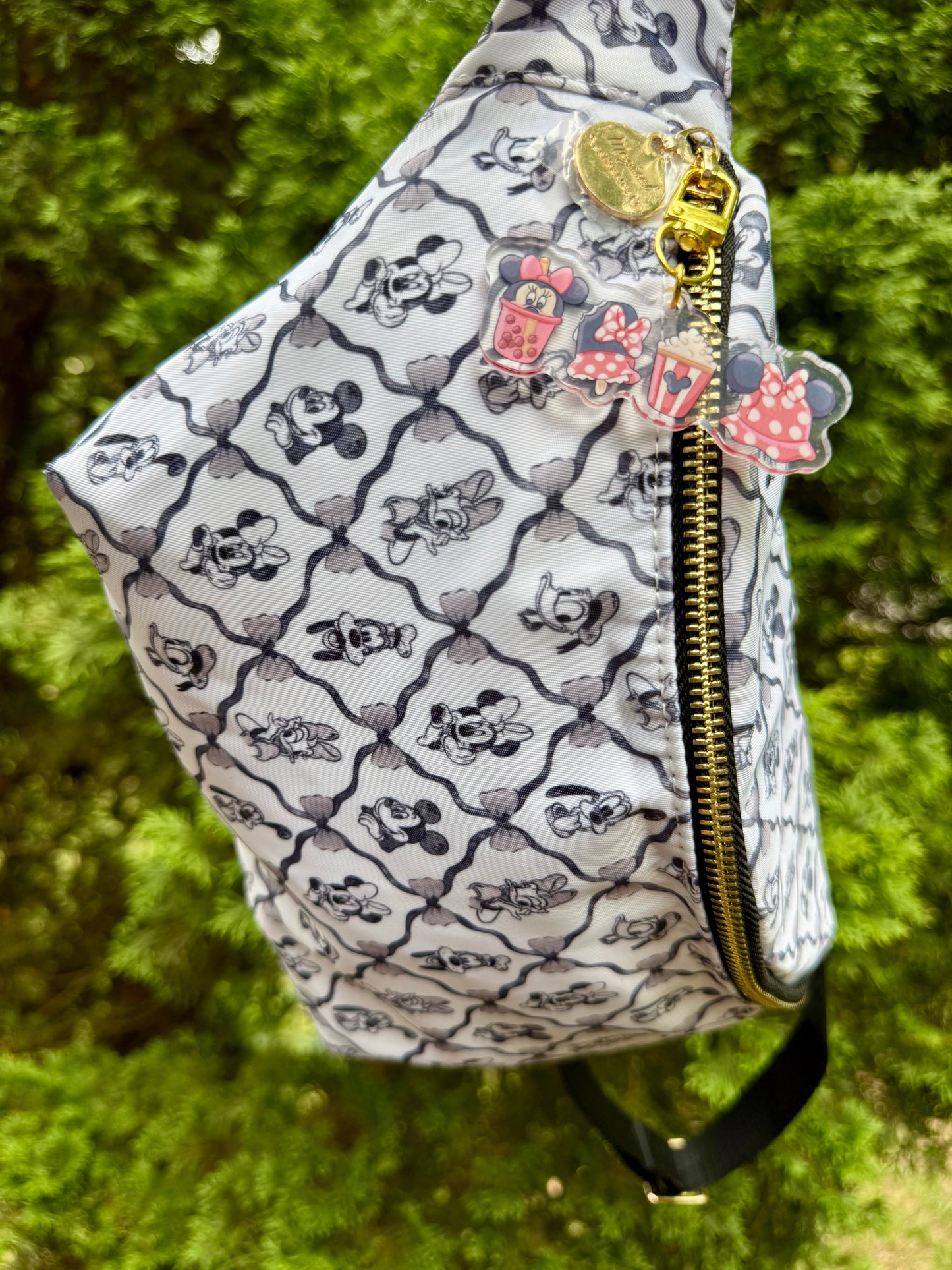 Character Snack Bag Charm