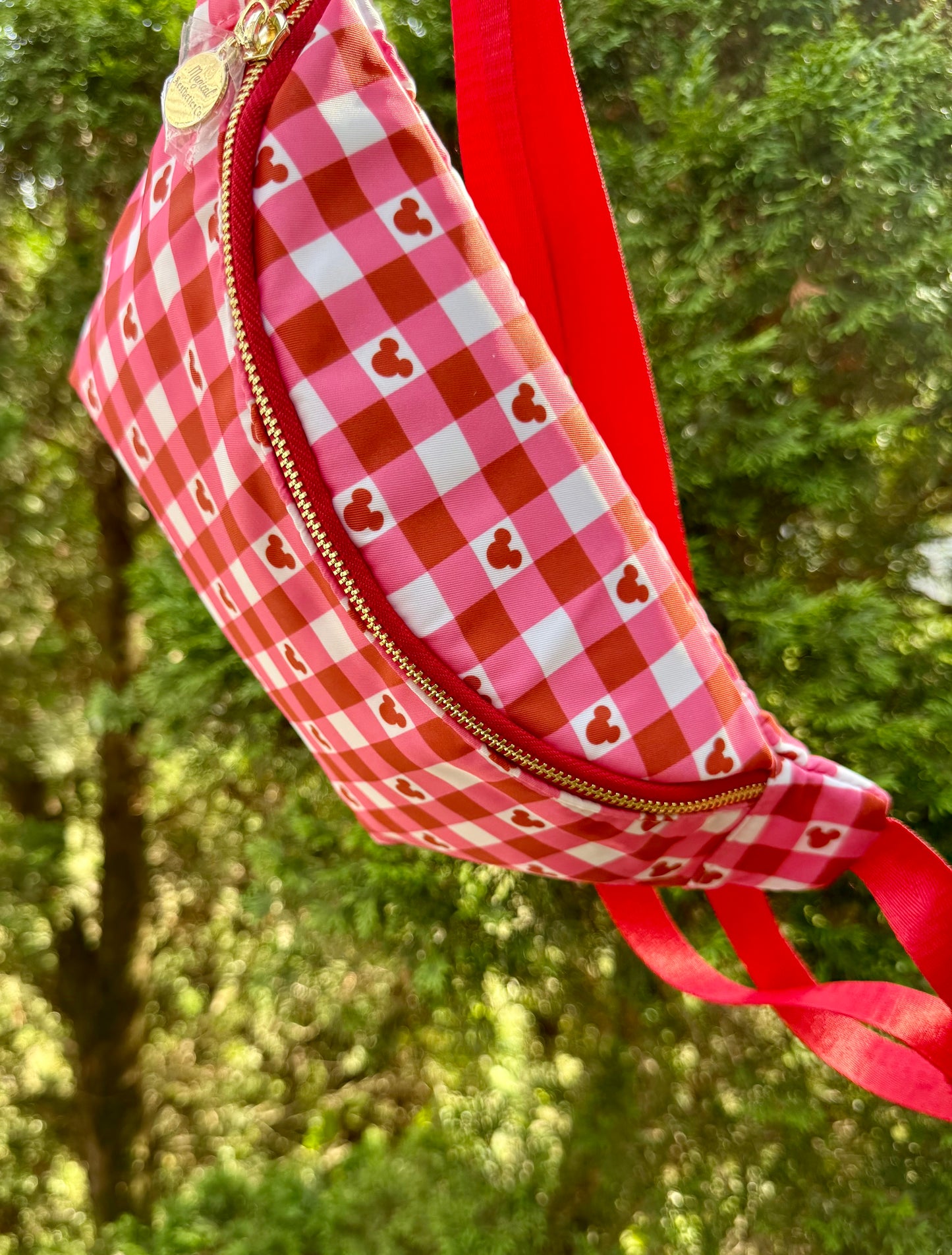 Sweetheart Gingham Fanny