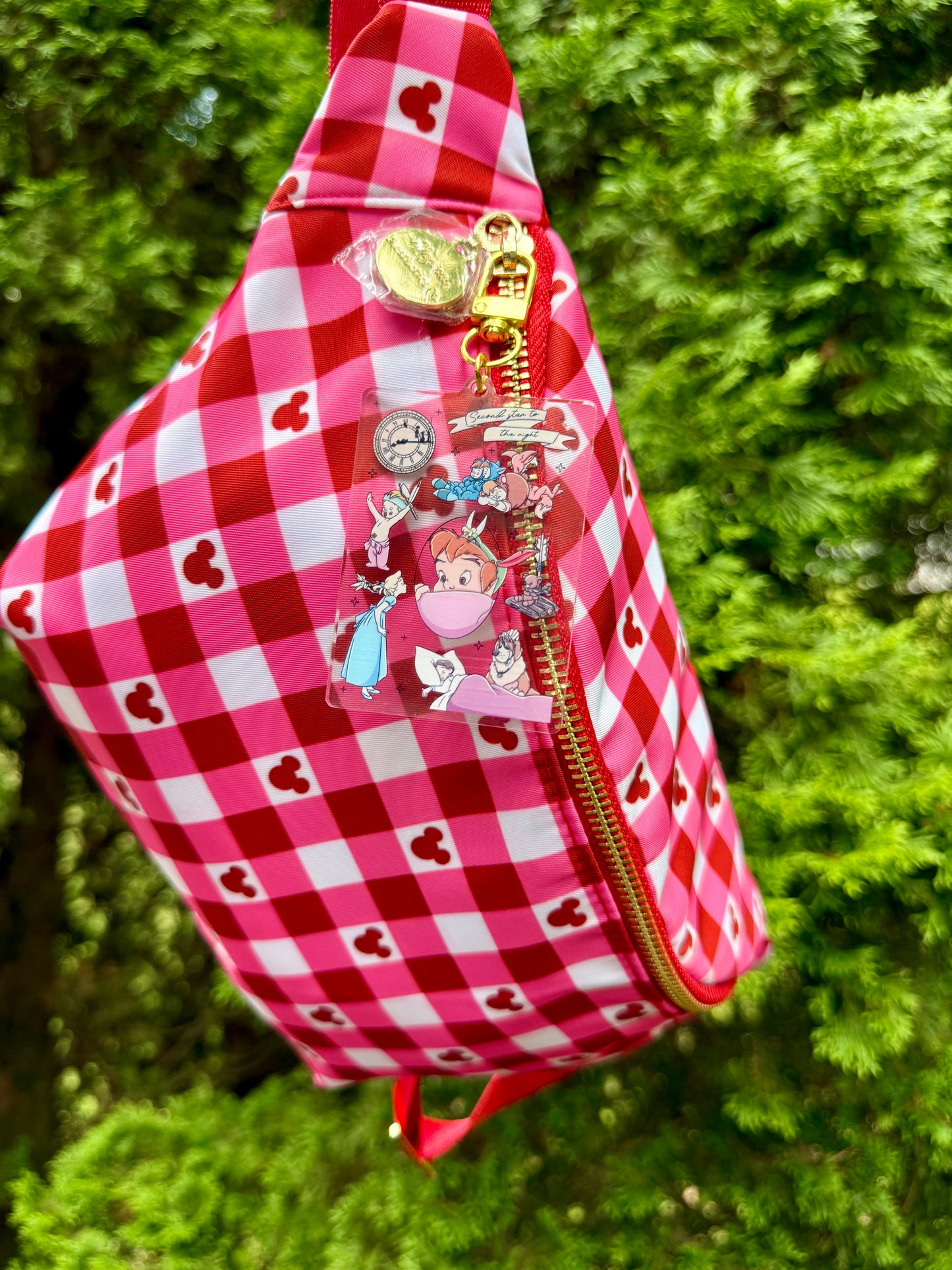 Neverland Dreams Bag Charm