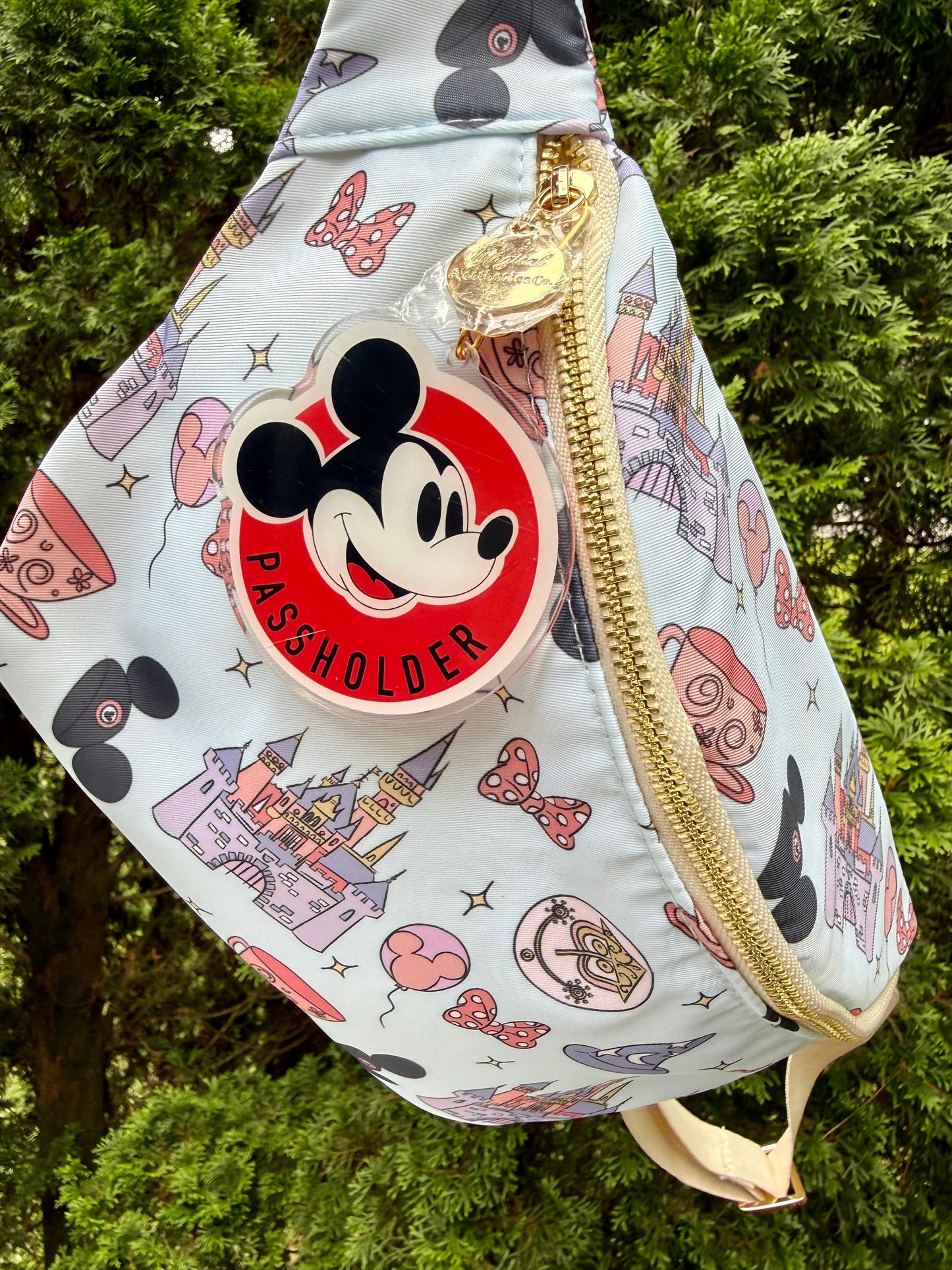 Passholder Pals Bag Charms