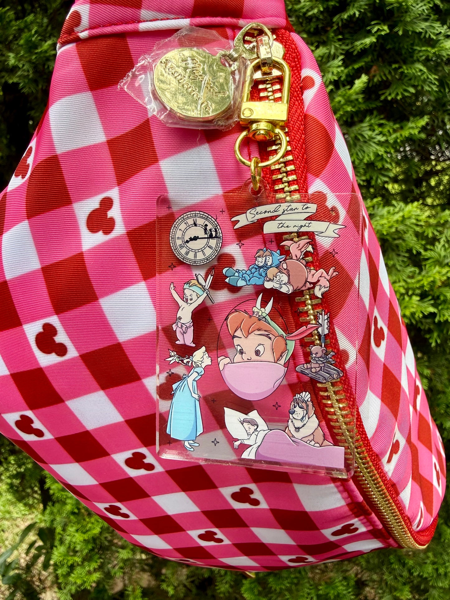 Neverland Dreams Bag Charm