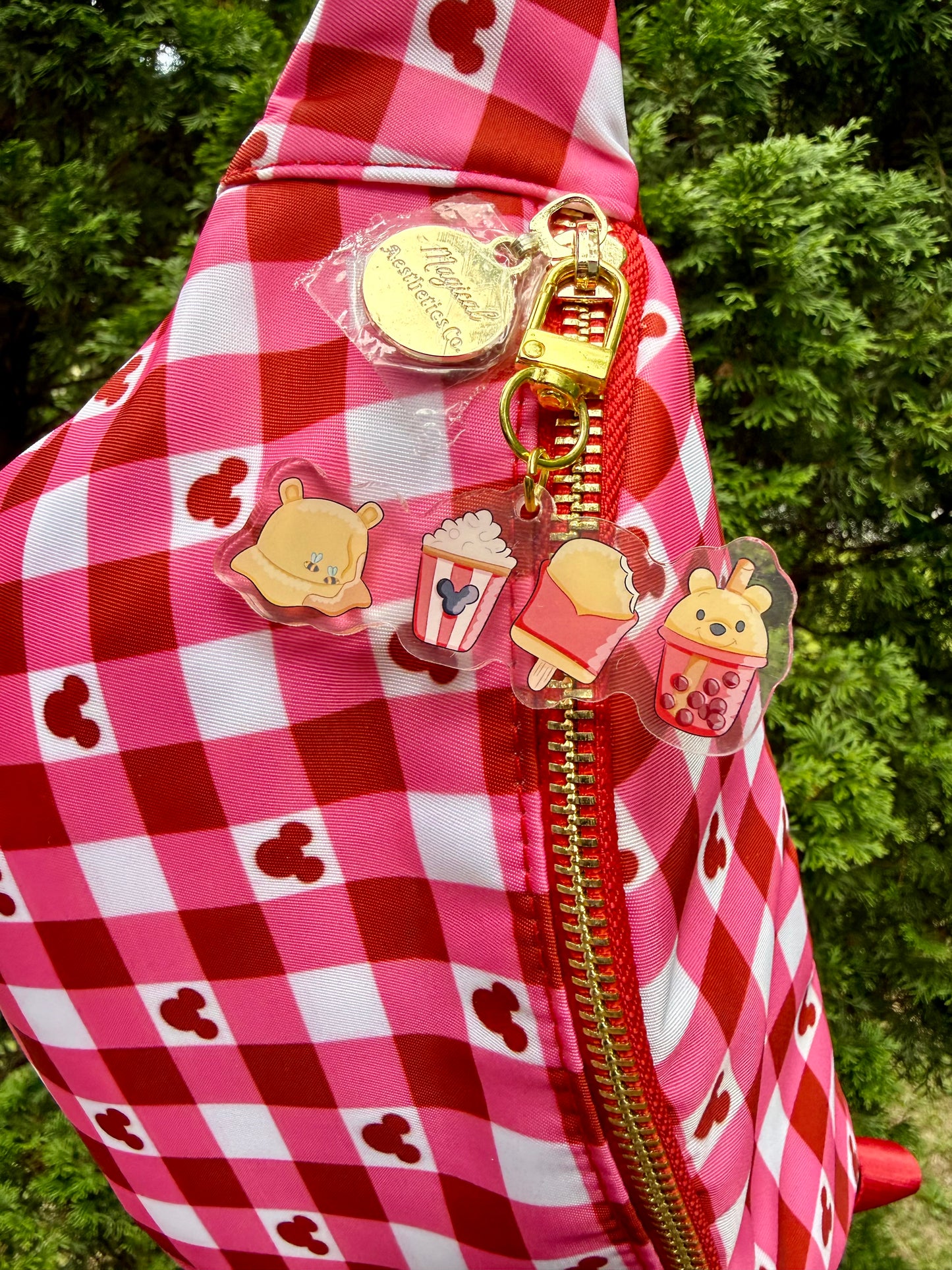 Character Snack Bag Charm
