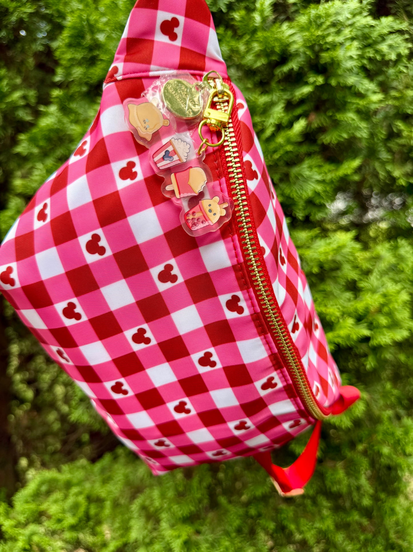 Character Snack Bag Charm