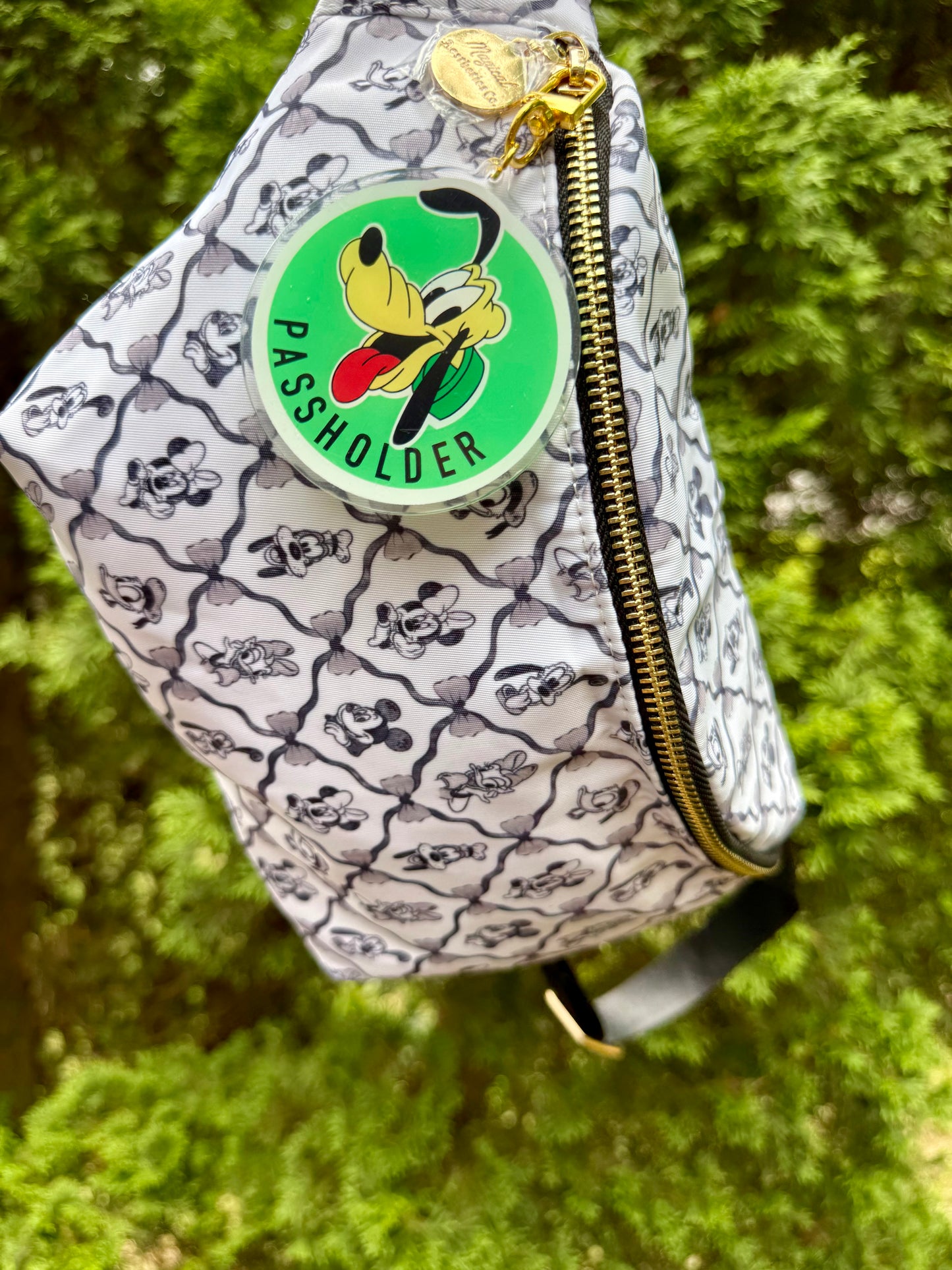 Passholder Pals Bag Charms