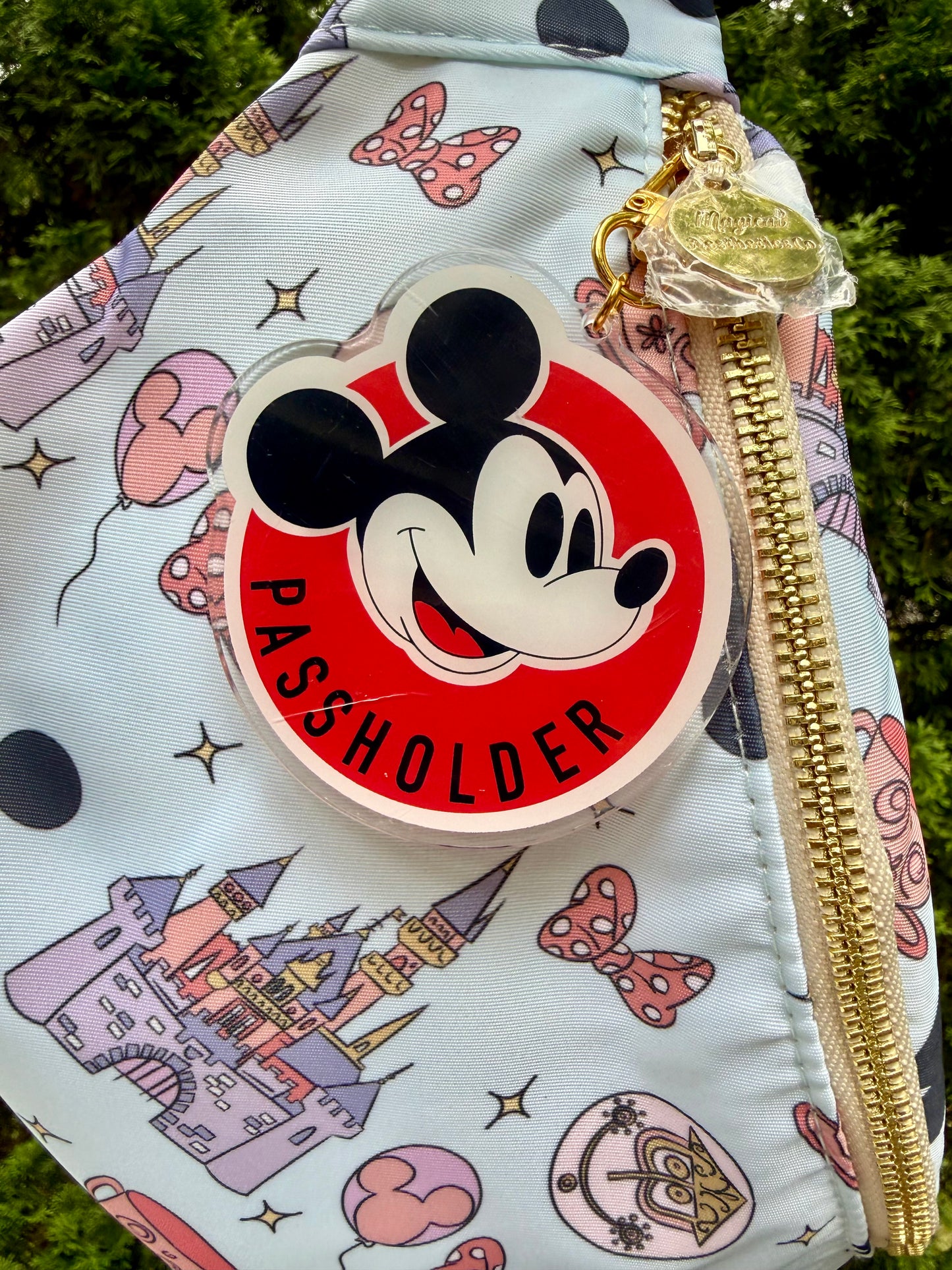Passholder Pals Bag Charms