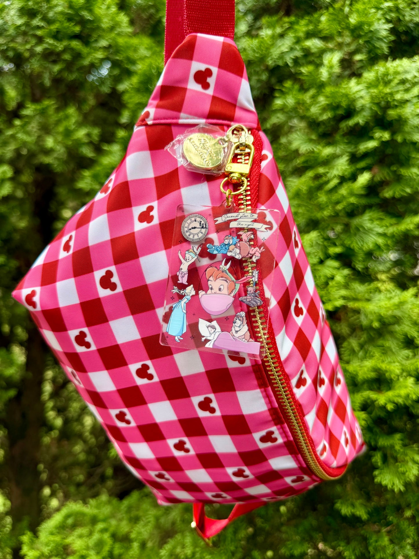 Neverland Dreams Bag Charm