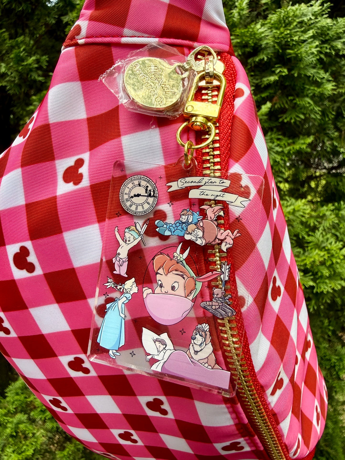 Neverland Dreams Bag Charm