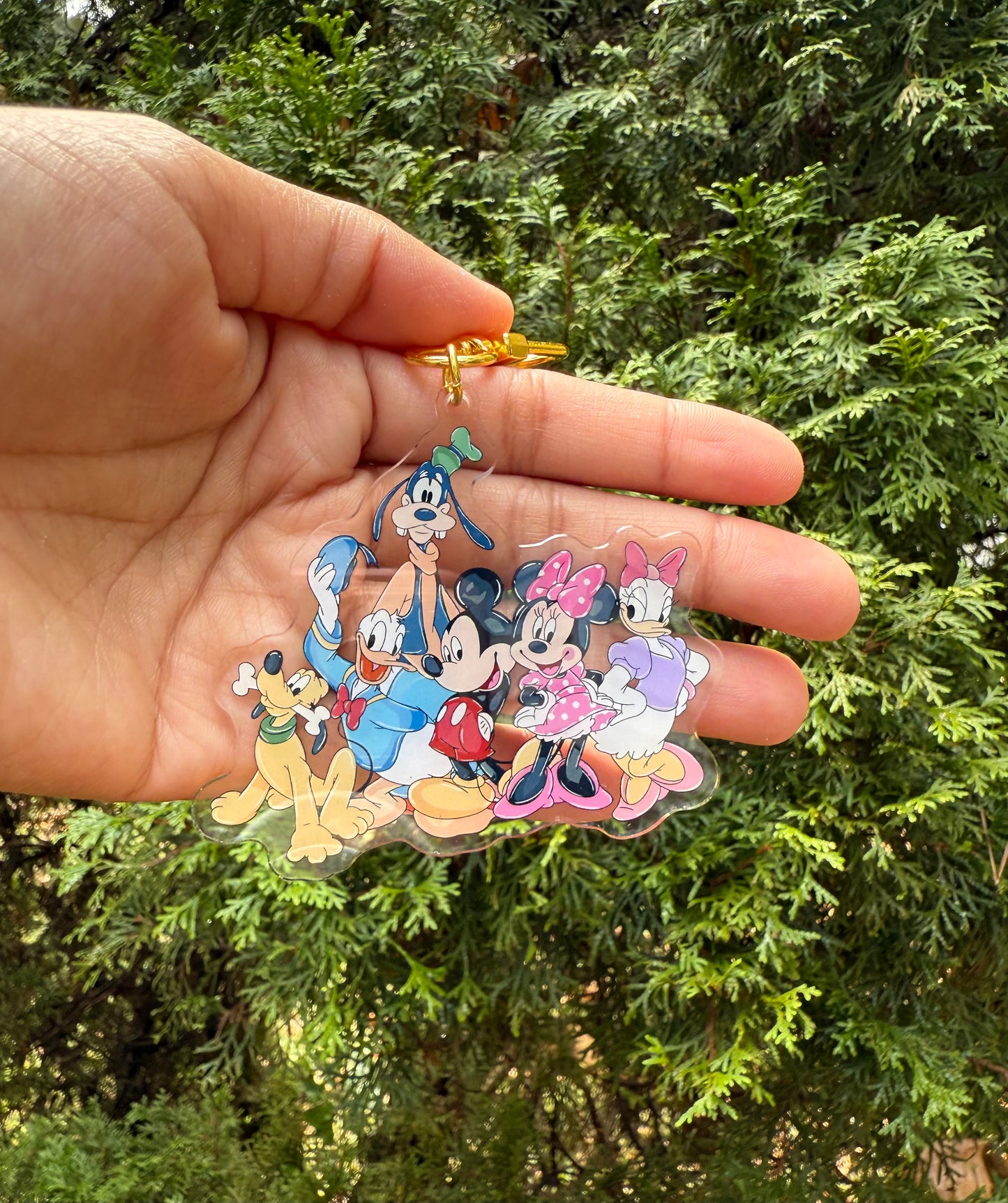 Sensational Six Bag Charm