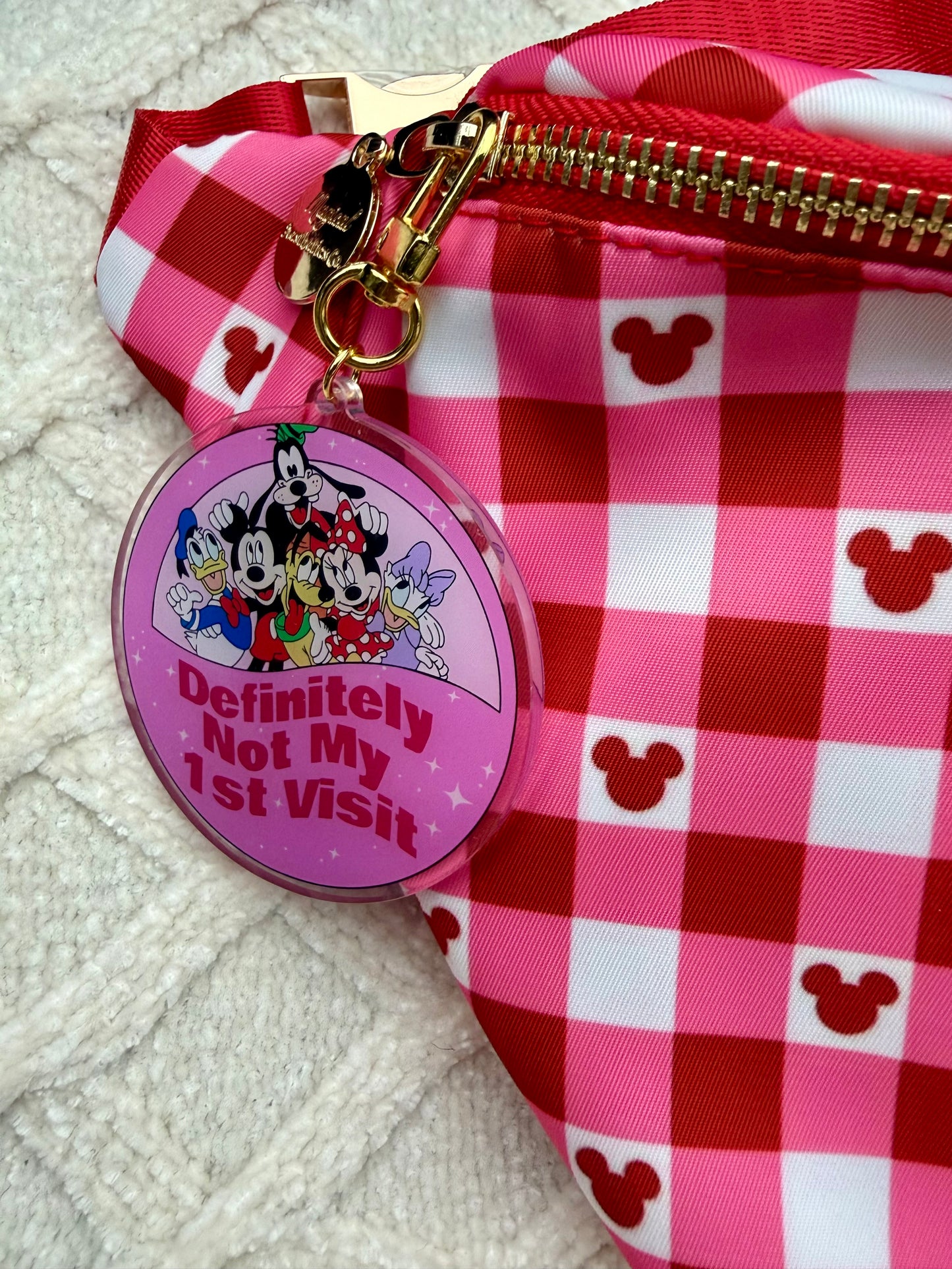 Not My First Visit Bag Charm