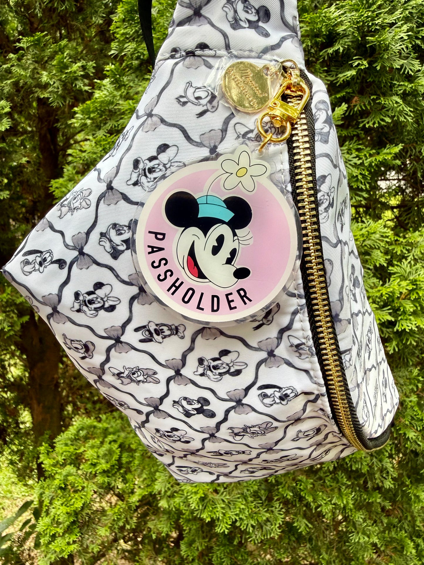 Passholder Pals Bag Charms