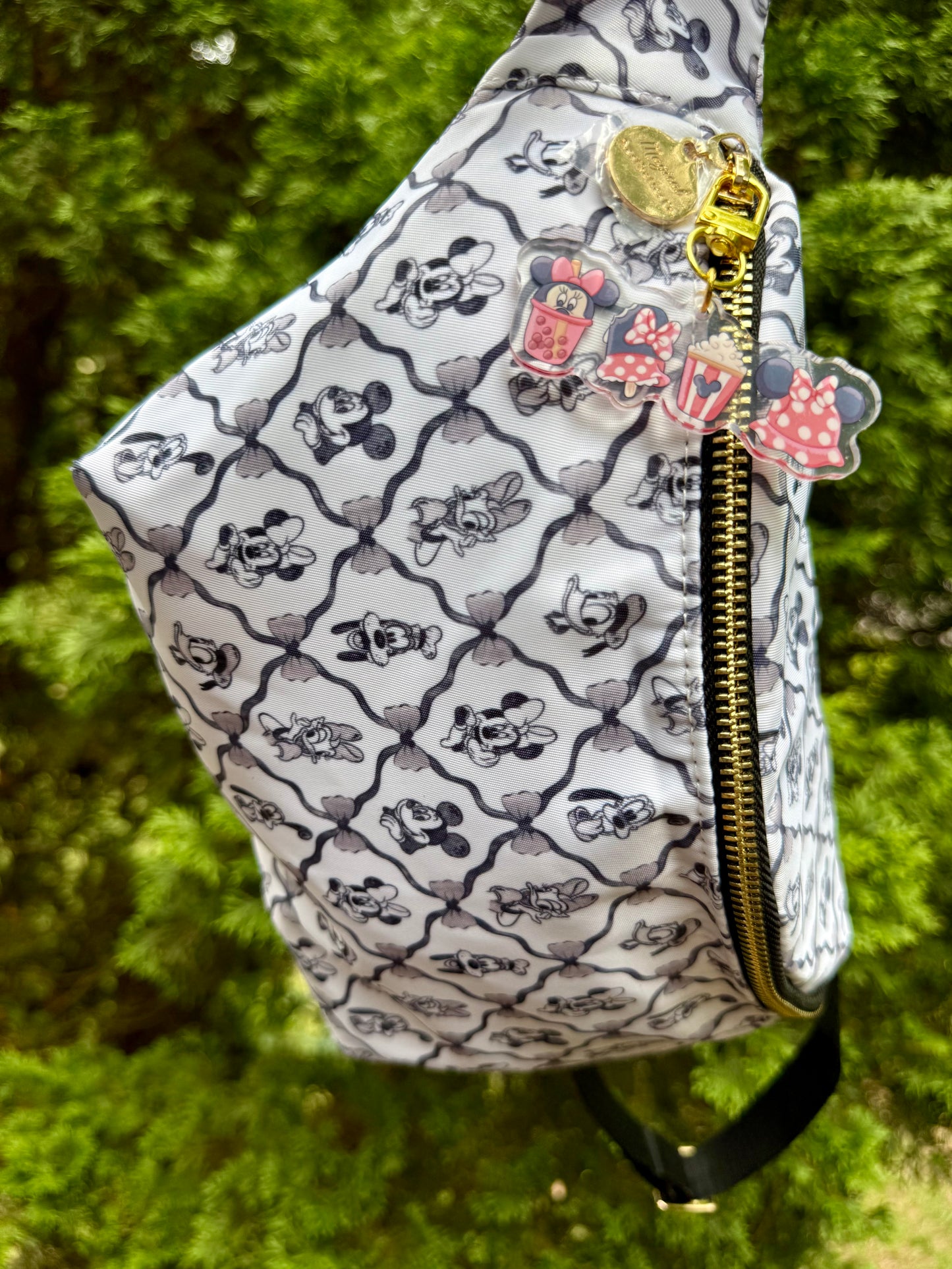 Character Snack Bag Charm