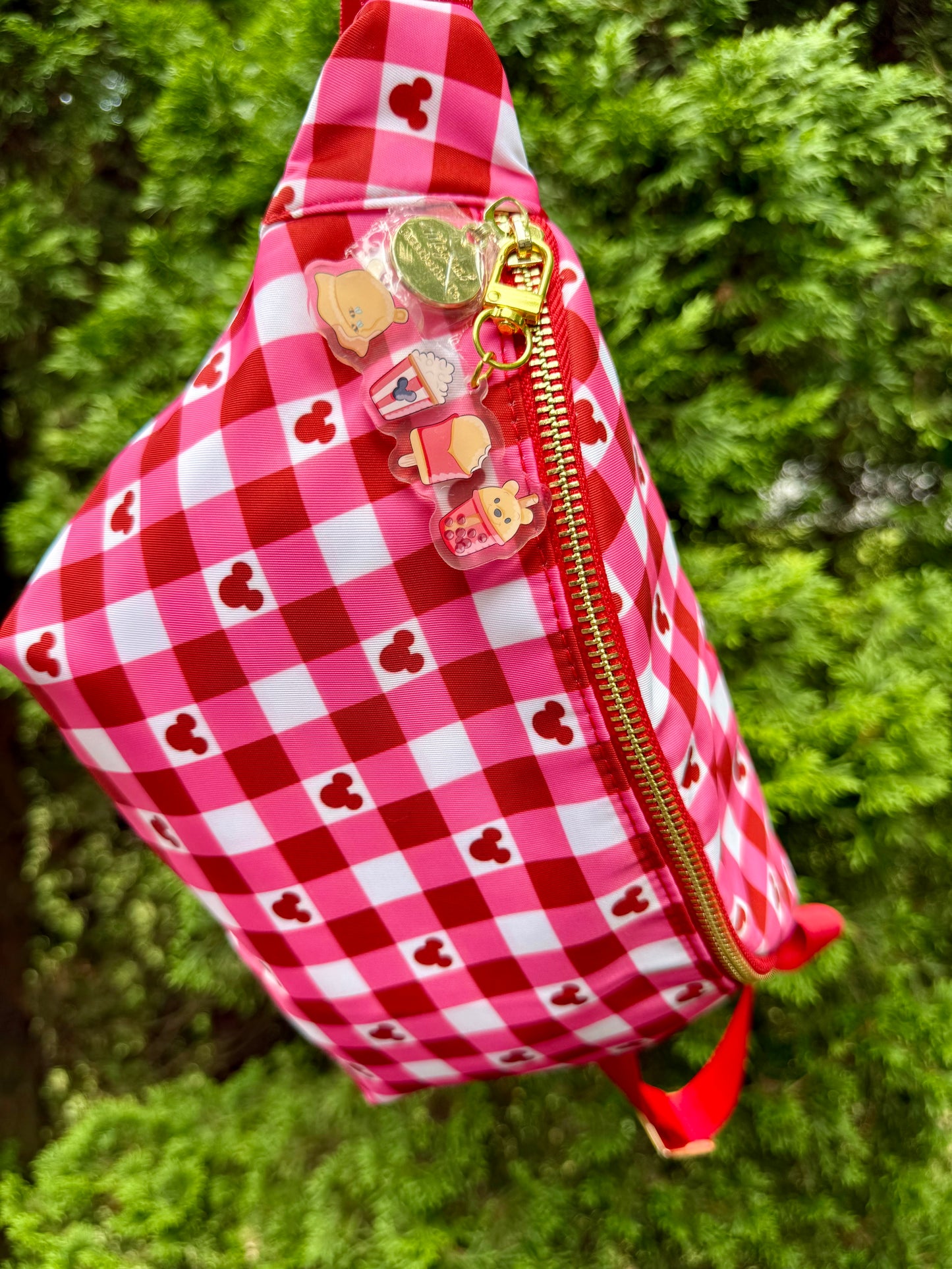Character Snack Bag Charm