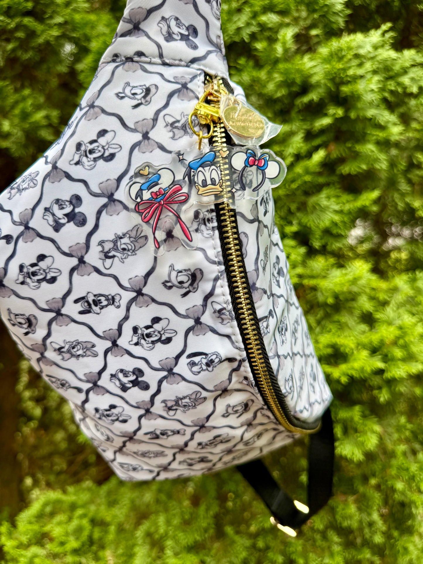 Donald Ears Bag Charm